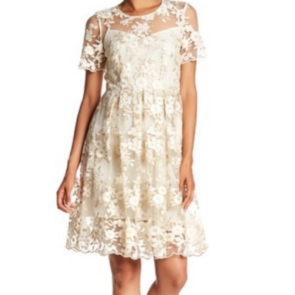 TAHARI Gold and Cream Dress